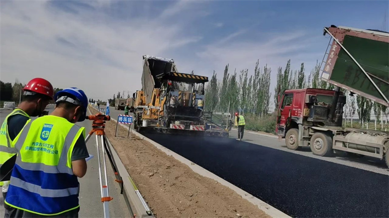 女人与公狍交酡女免费