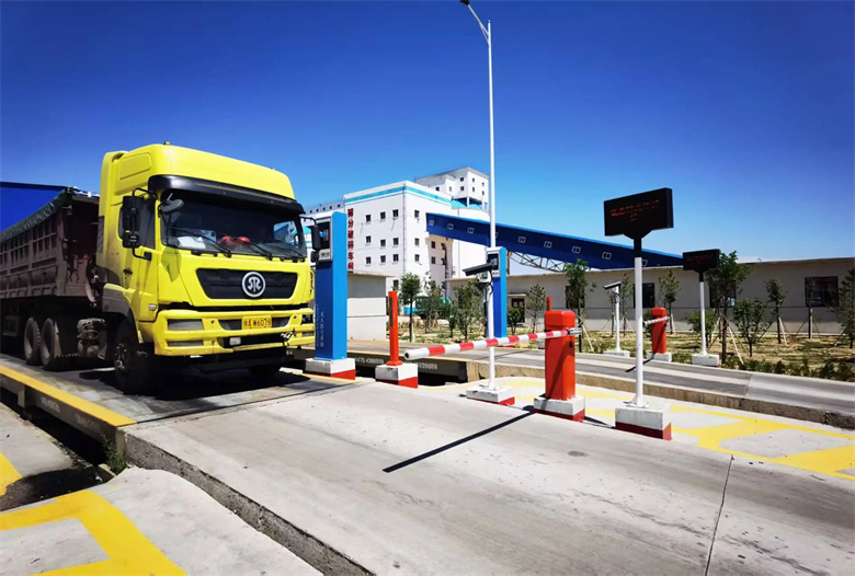 女人与公狍交酡女免费