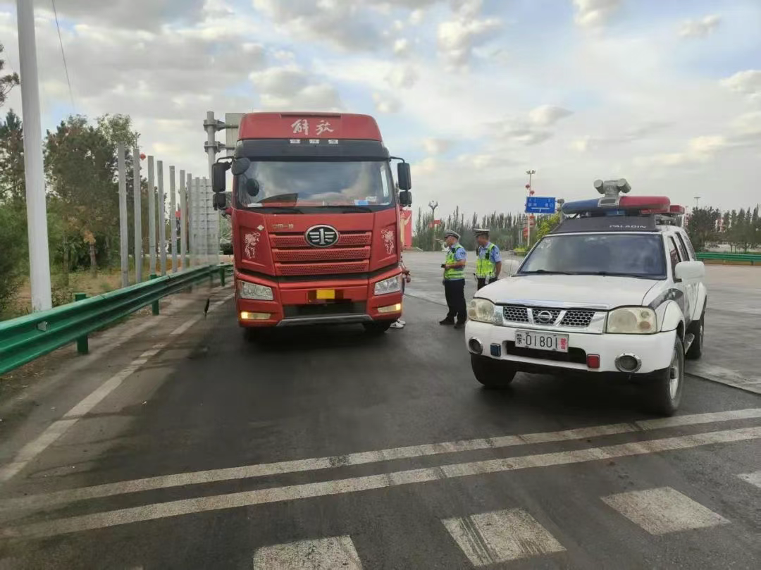 女人与公狍交酡女免费