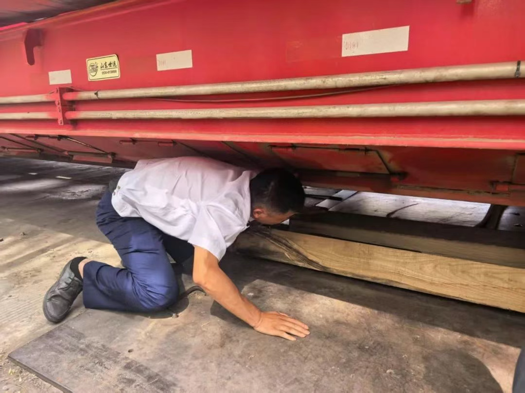 女人与公狍交酡女免费