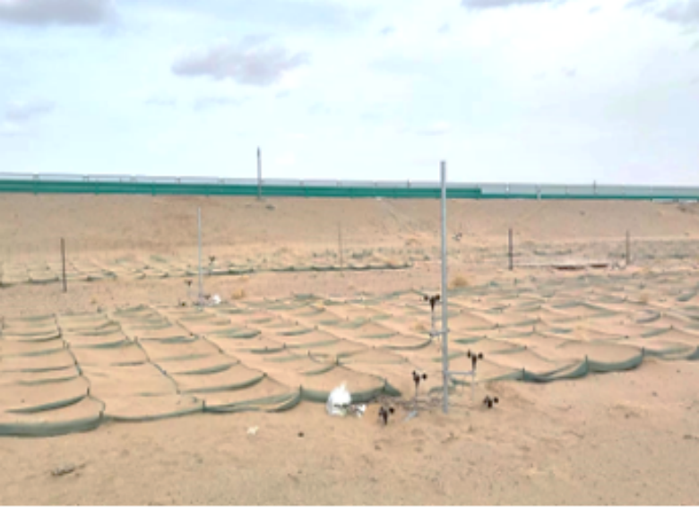 女人与公狍交酡女免费