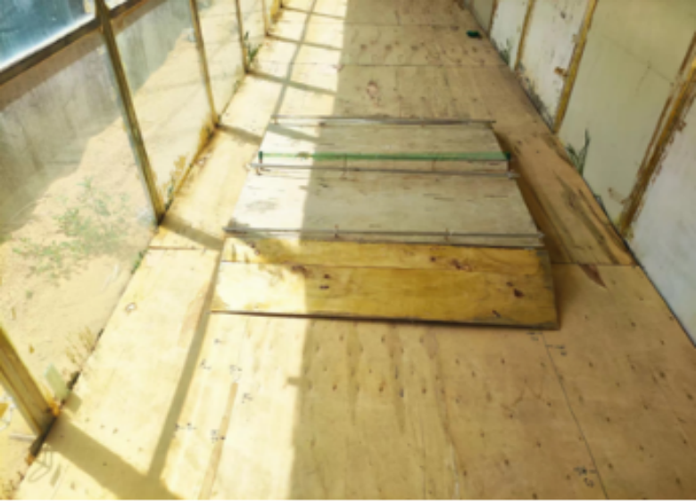 女人与公狍交酡女免费