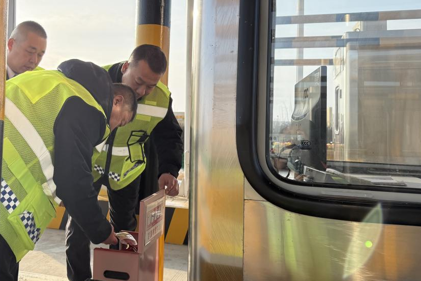女人与公狍交酡女免费