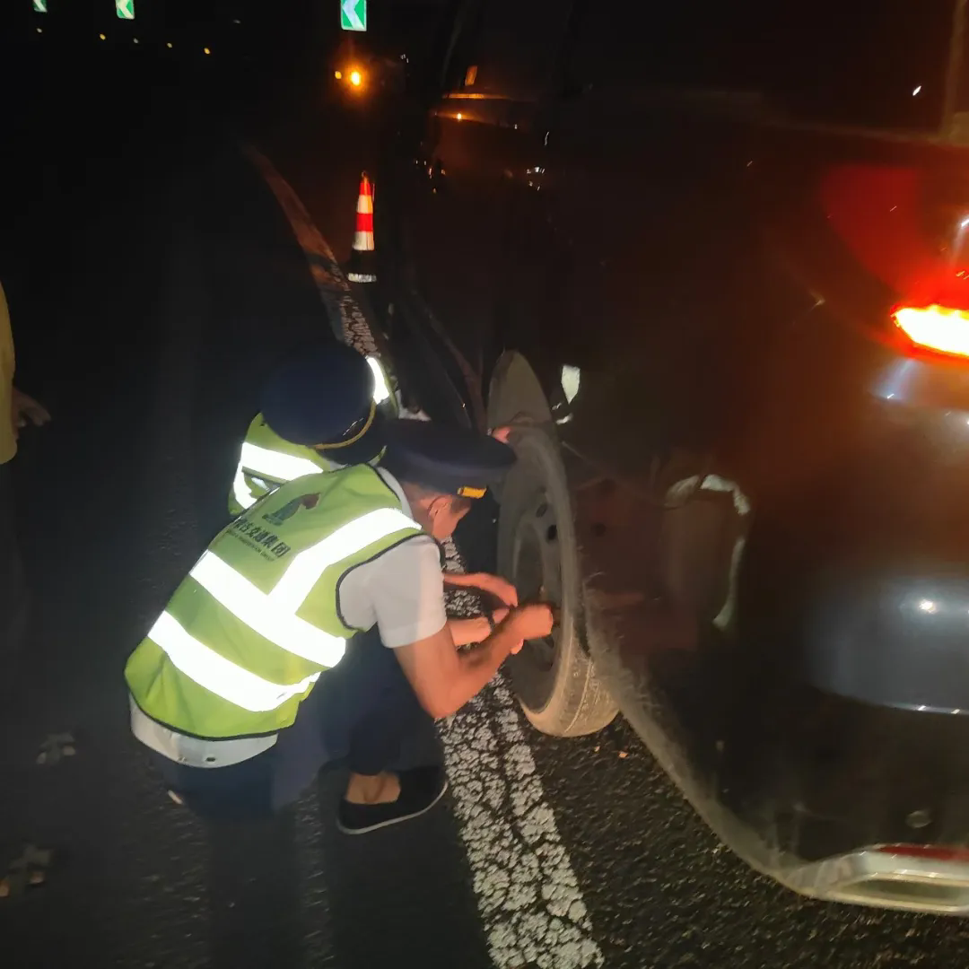 女人与公狍交酡女免费