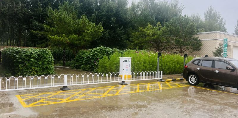 女人与公狍交酡女免费