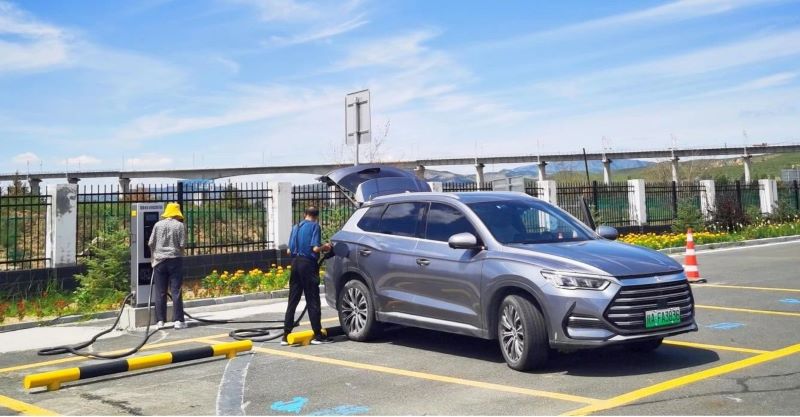 女人与公狍交酡女免费