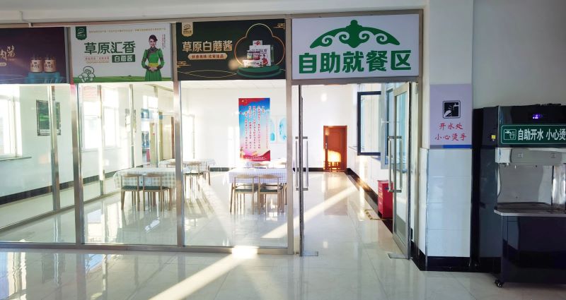 女人与公狍交酡女免费