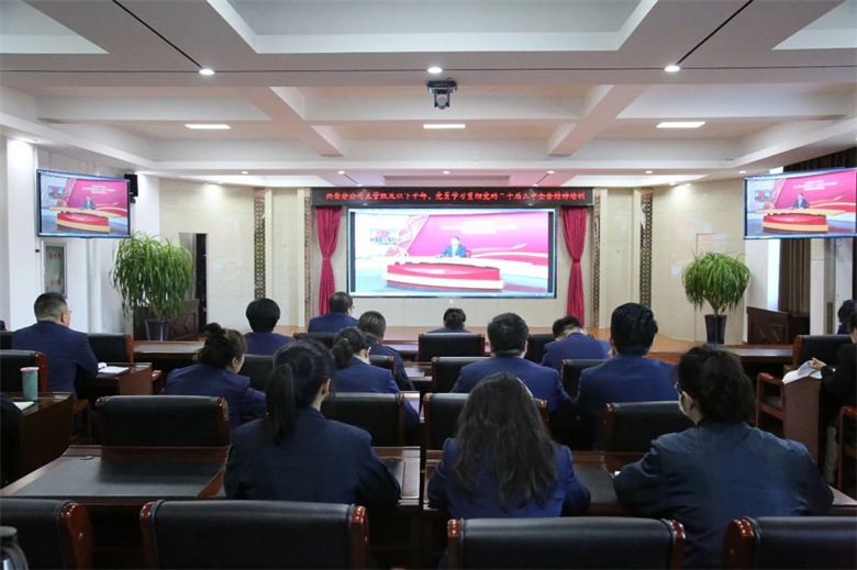 女人与公狍交酡女免费