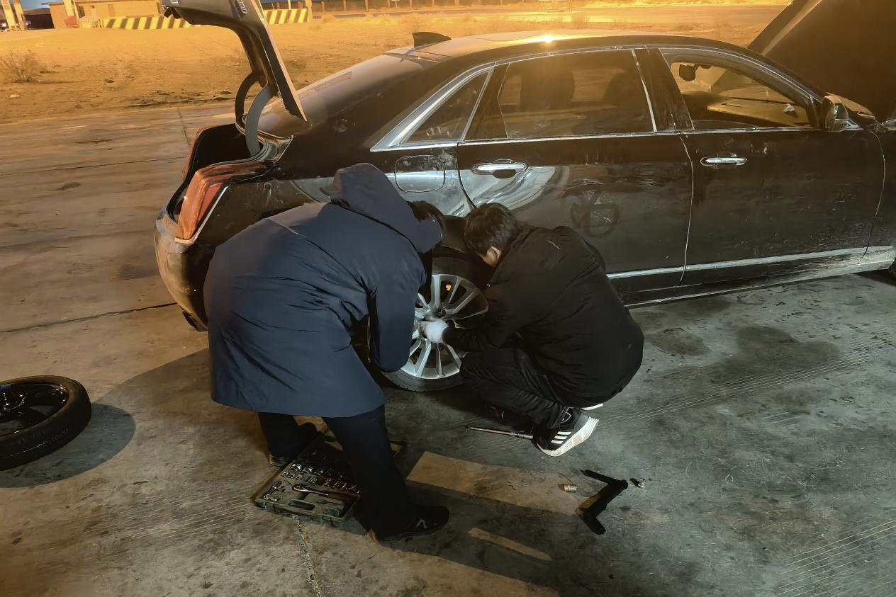 女人与公狍交酡女免费