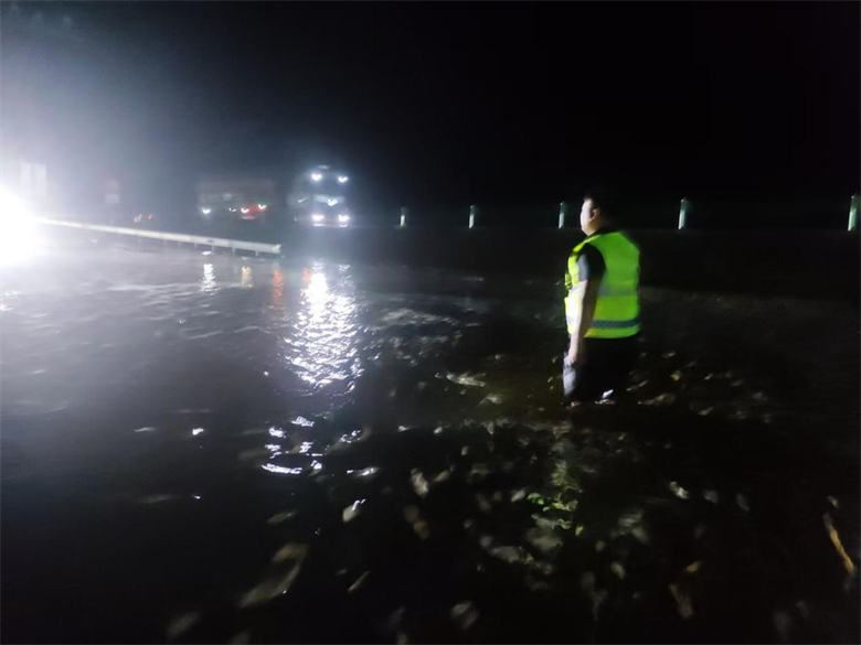 女人与公狍交酡女免费
