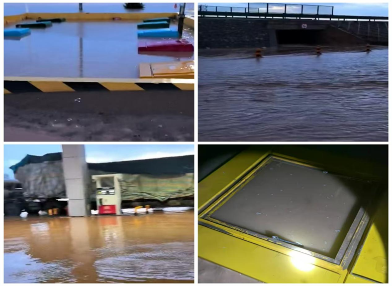 女人与公狍交酡女免费