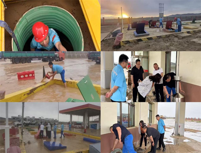 女人与公狍交酡女免费