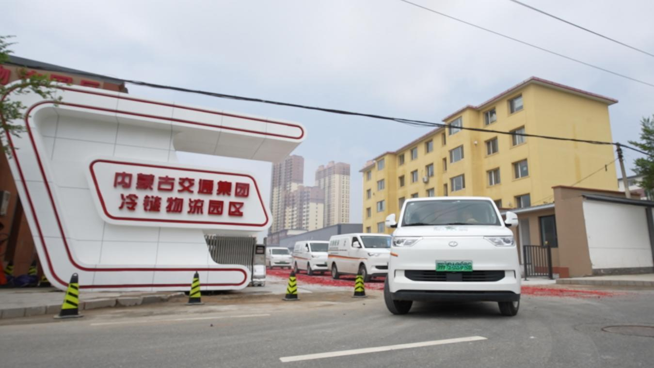 女人与公狍交酡女免费