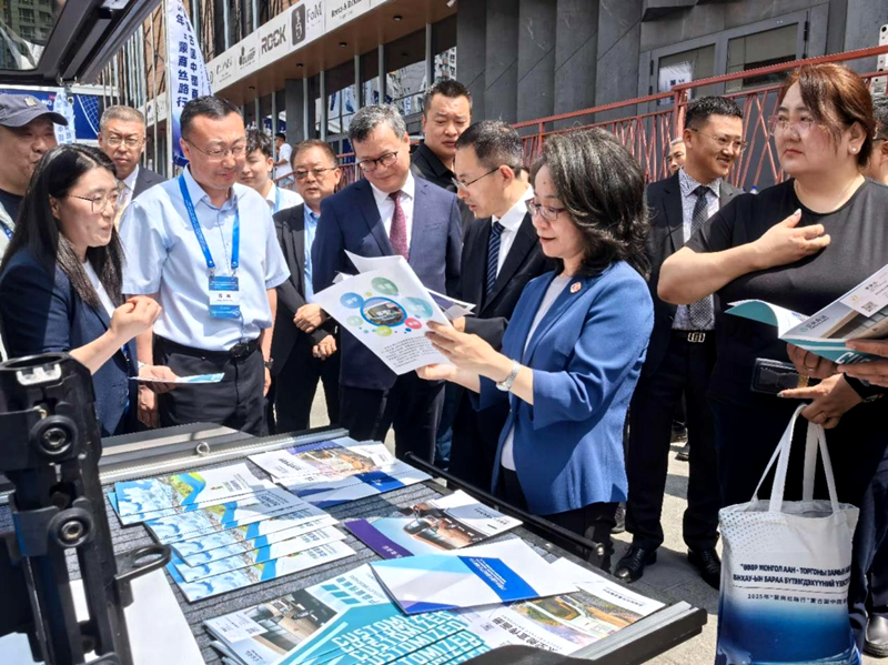 女人与公狍交酡女免费