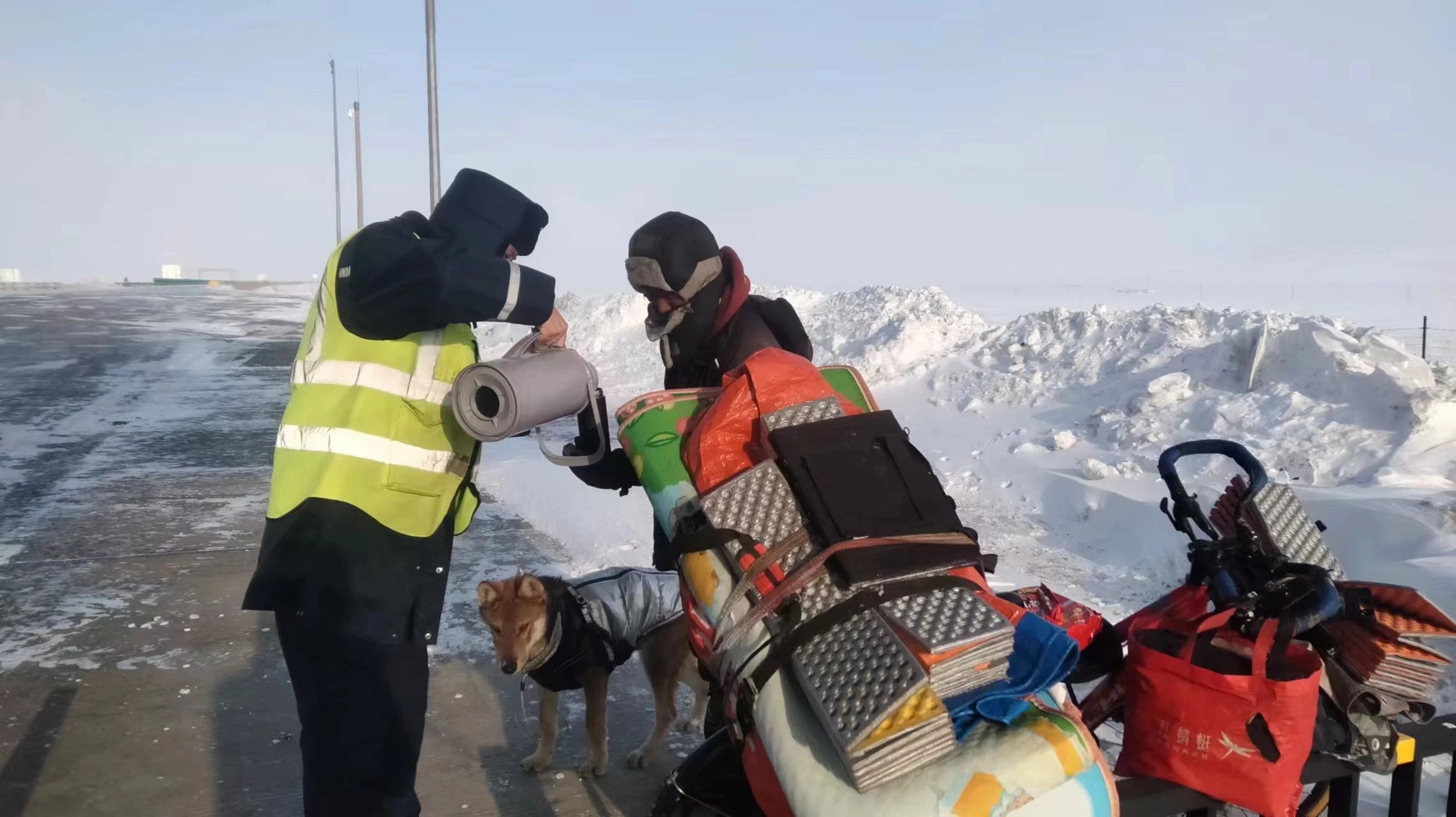 女人与公狍交酡女免费