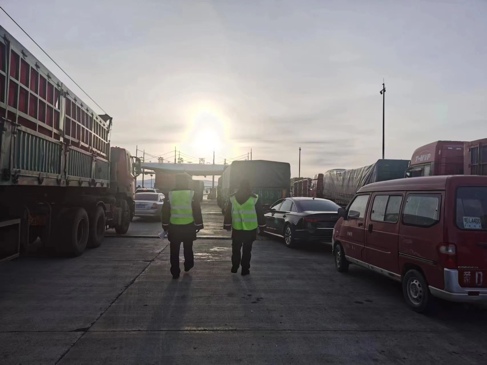 女人与公狍交酡女免费