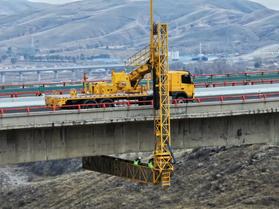 女人与公狍交酡女免费
