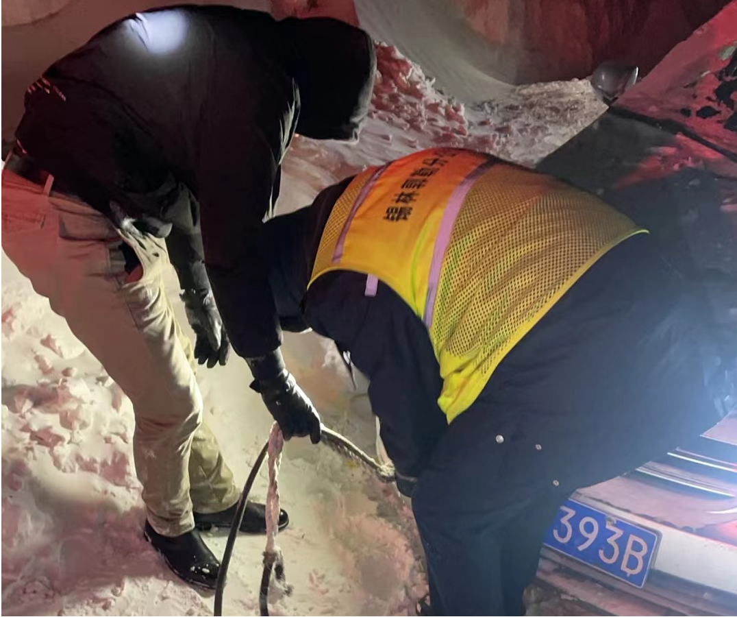 女人与公狍交酡女免费