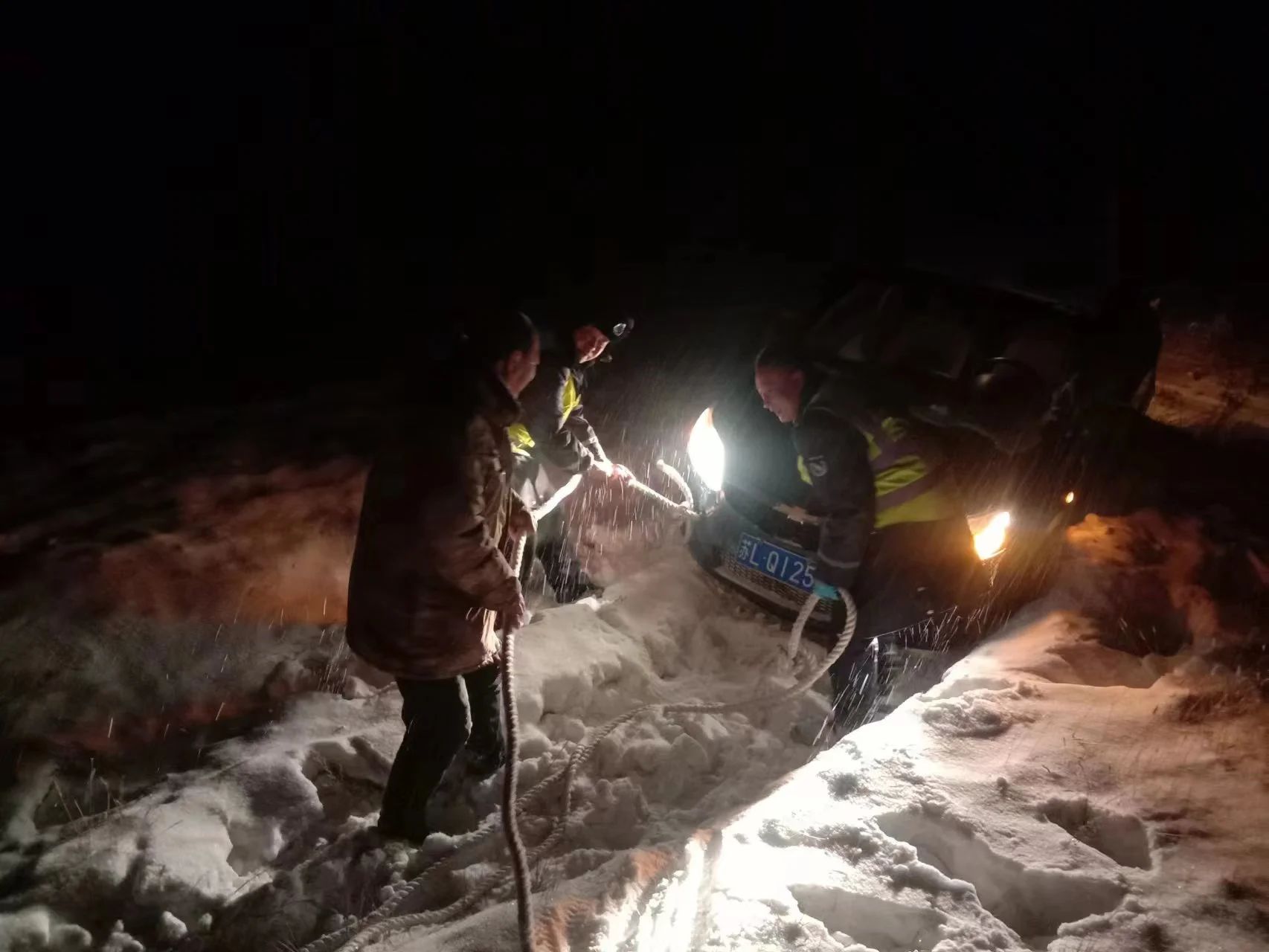 女人与公狍交酡女免费