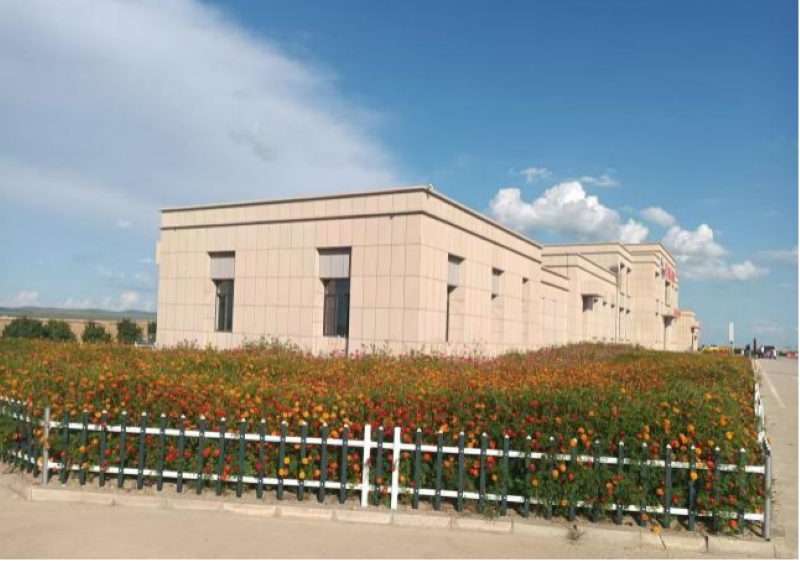 女人与公狍交酡女免费