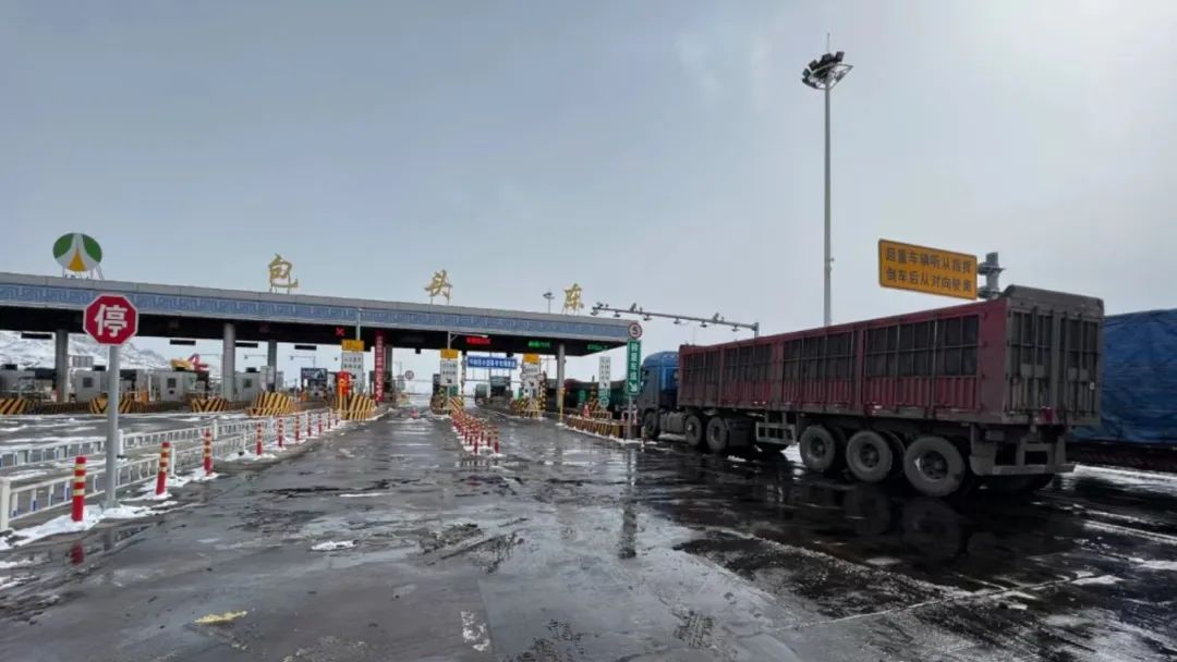 女人与公狍交酡女免费