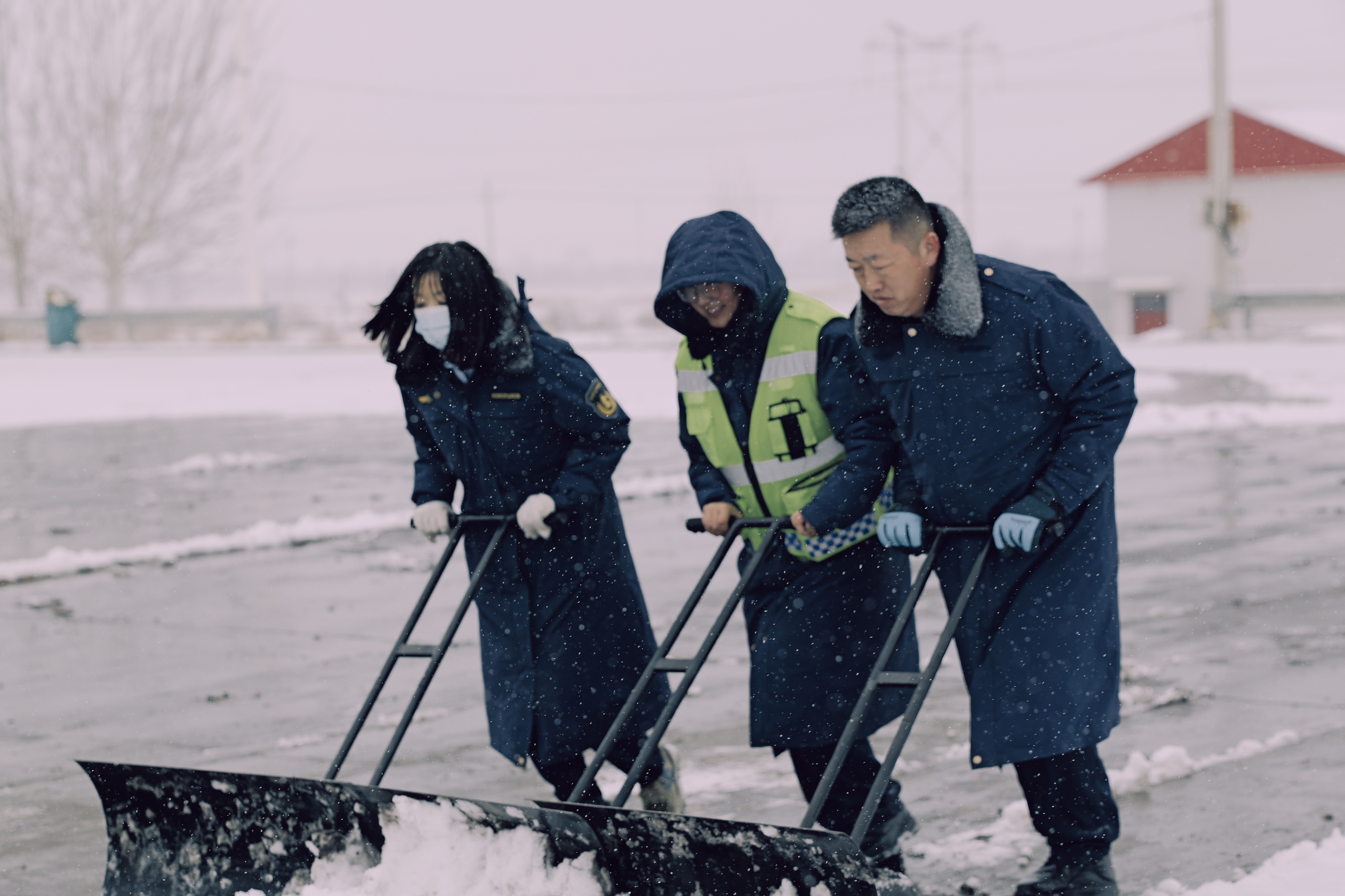 女人与公狍交酡女免费