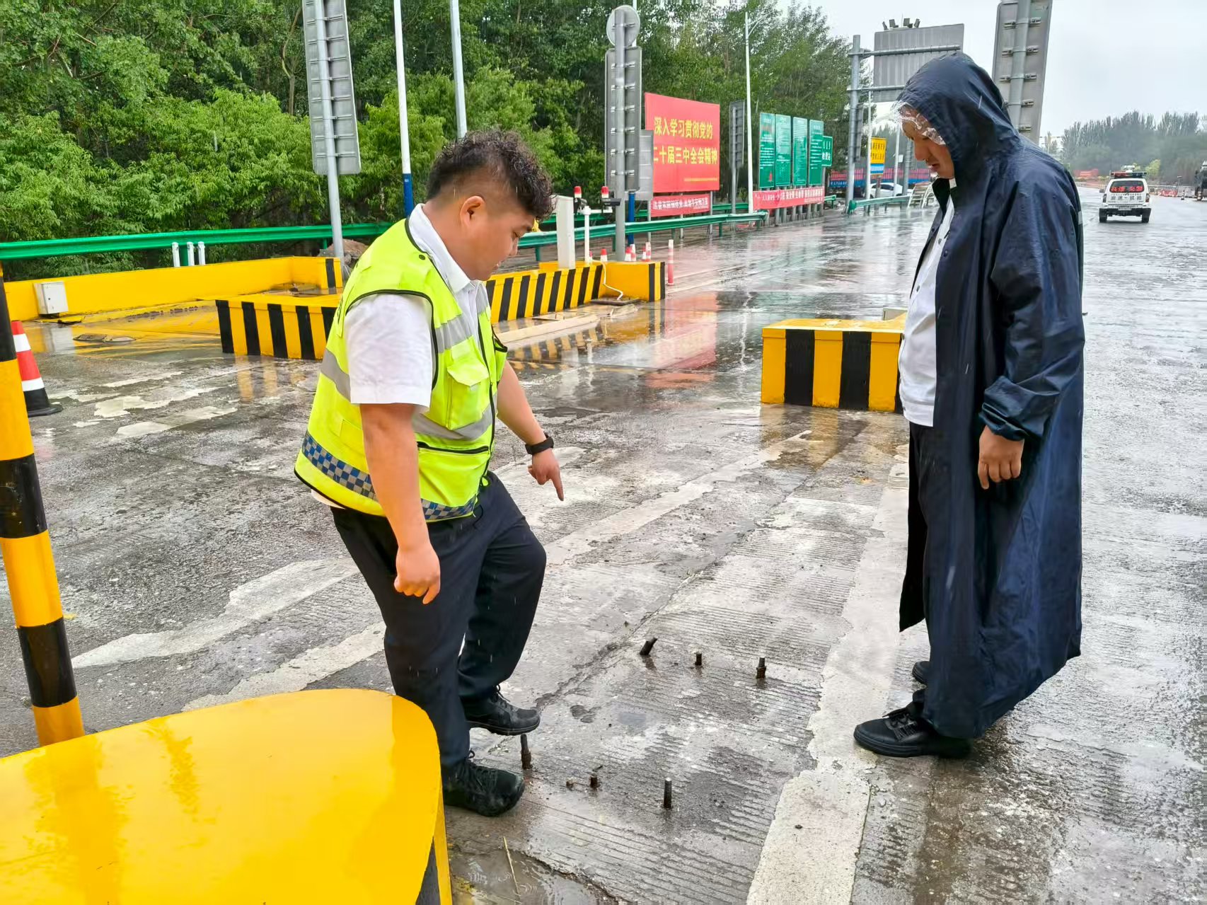 女人与公狍交酡女免费