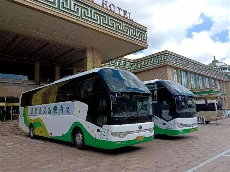 女人与公狍交酡女免费