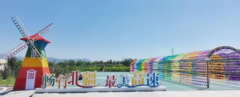 女人与公狍交酡女免费