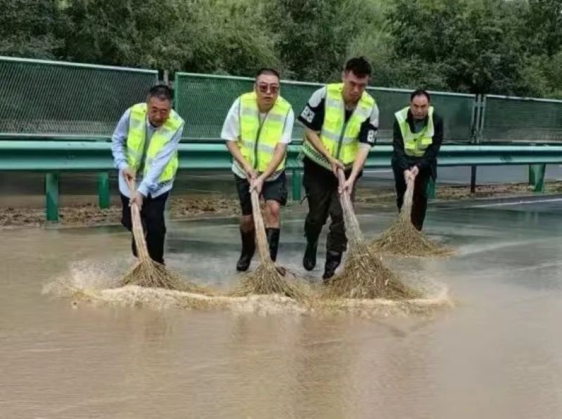 女人与公狍交酡女免费