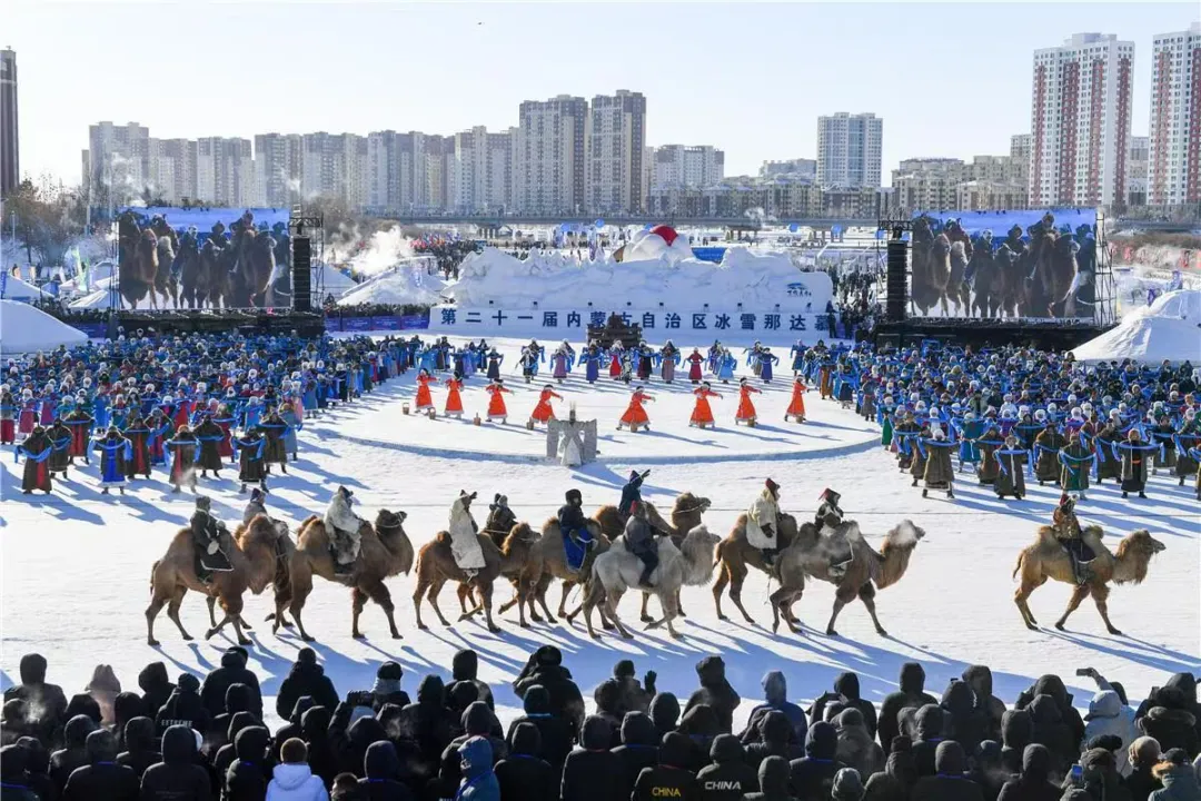 女人与公狍交酡女免费
