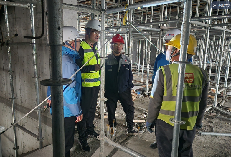 女人与公狍交酡女免费