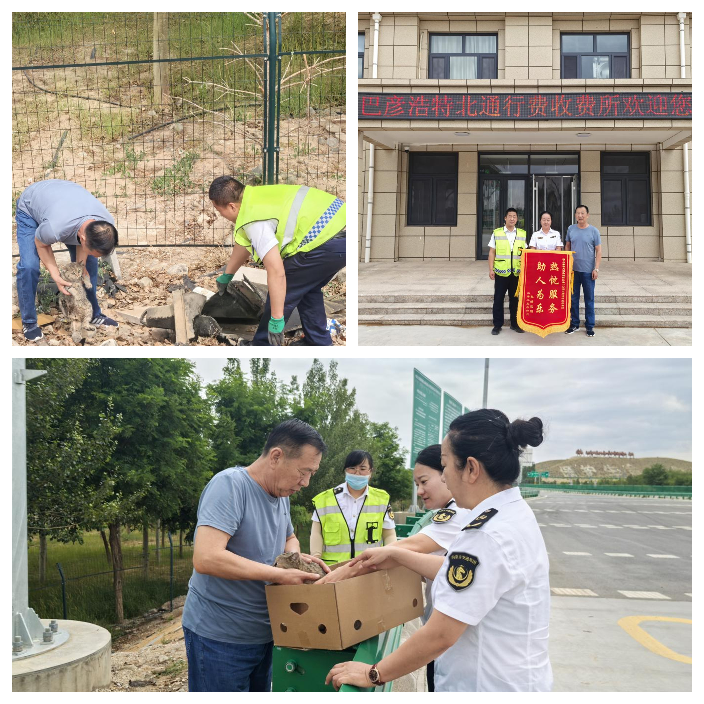 女人与公狍交酡女免费