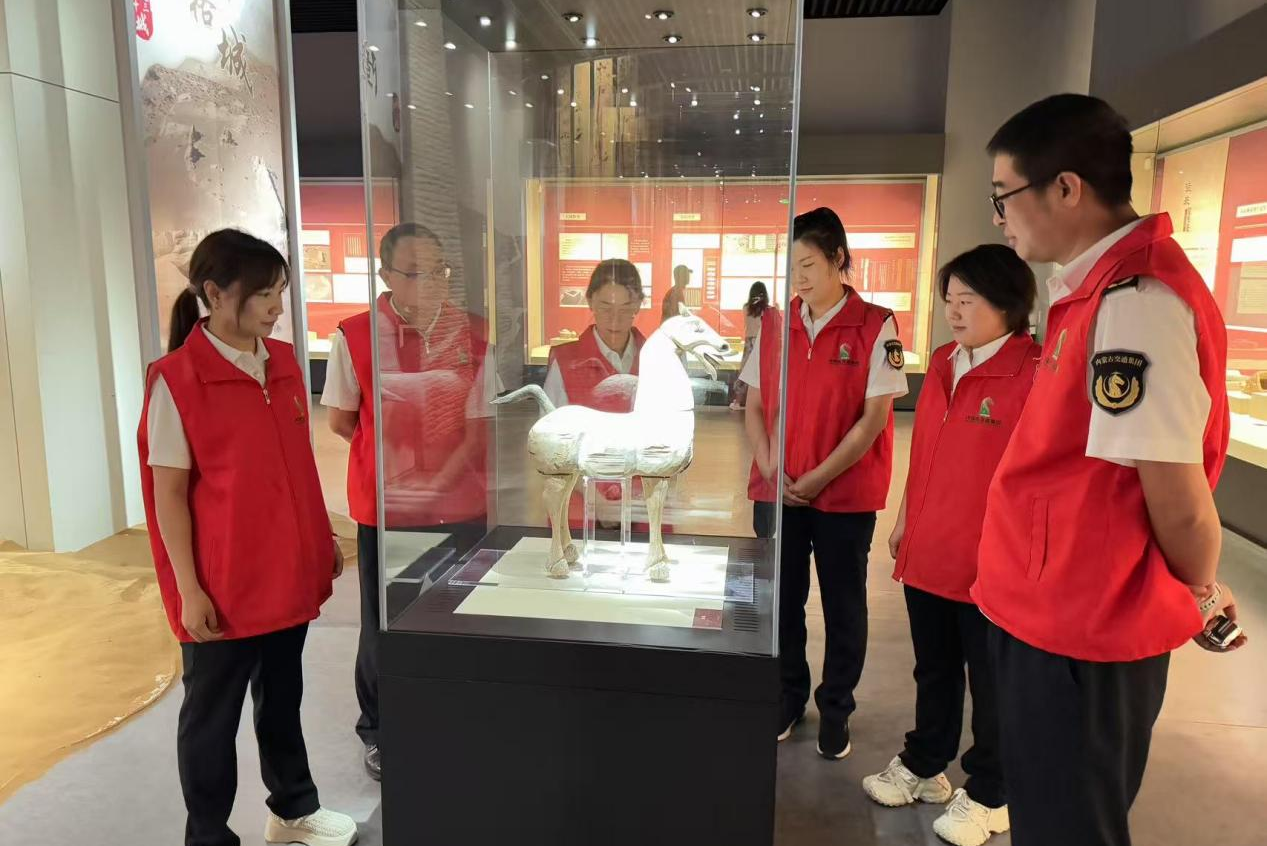 女人与公狍交酡女免费