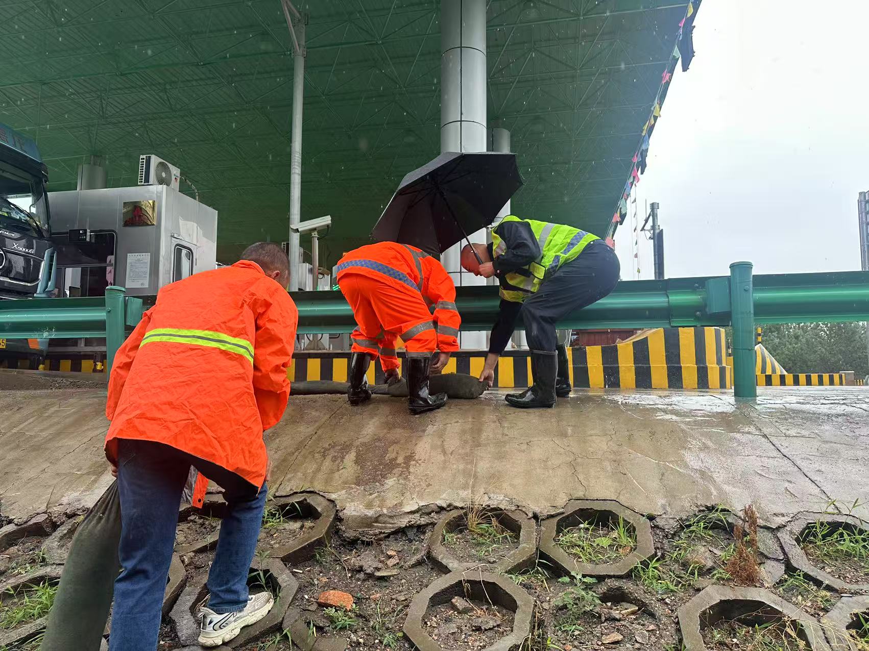 女人与公狍交酡女免费