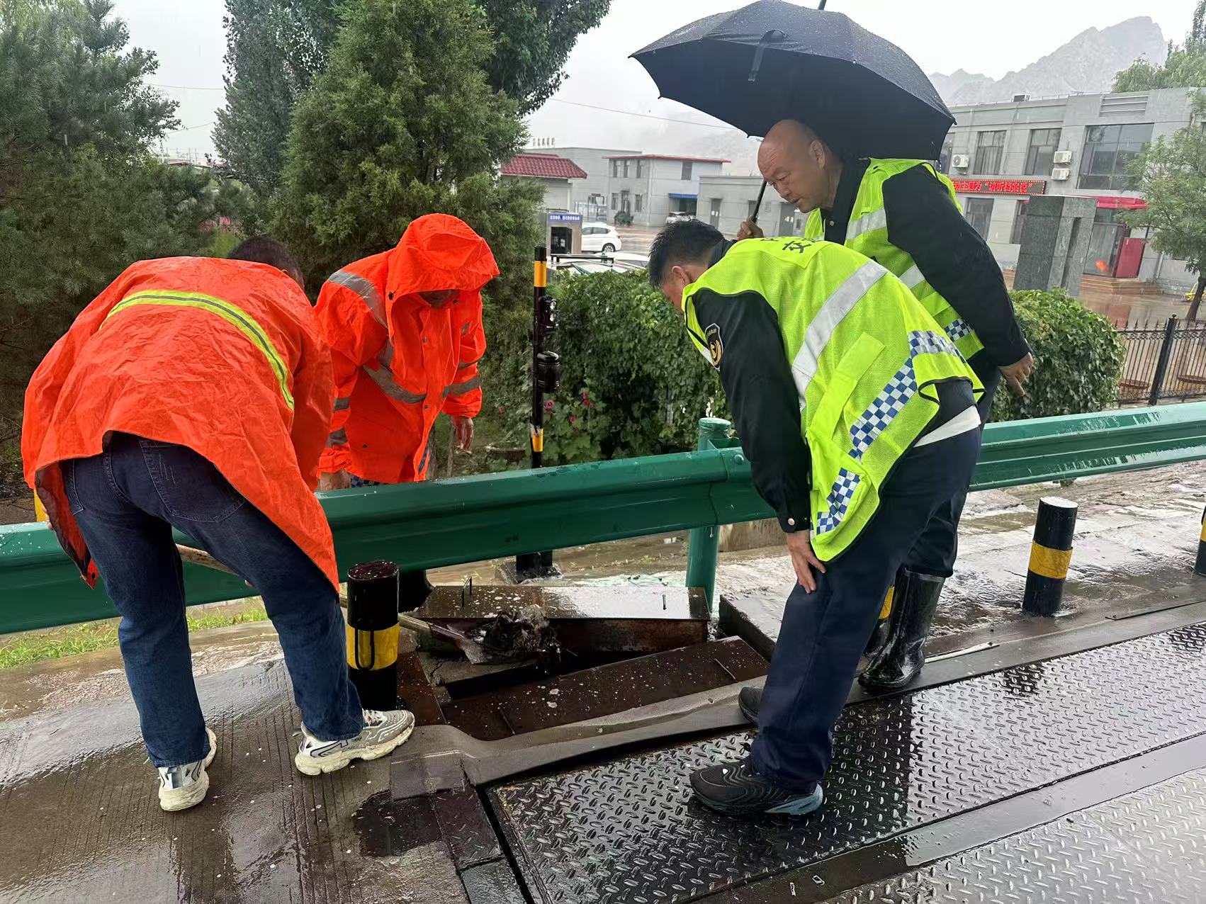 女人与公狍交酡女免费