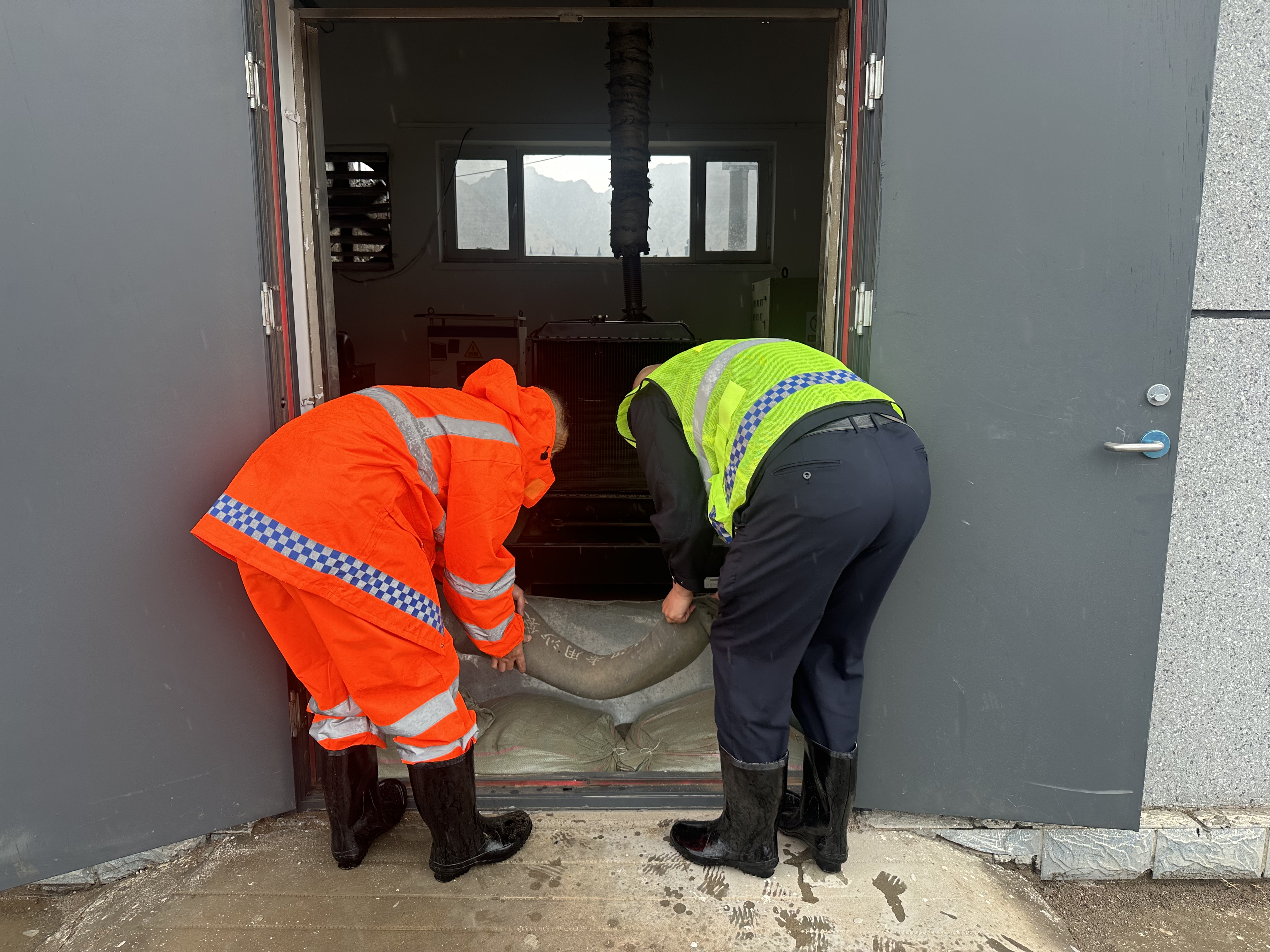 女人与公狍交酡女免费