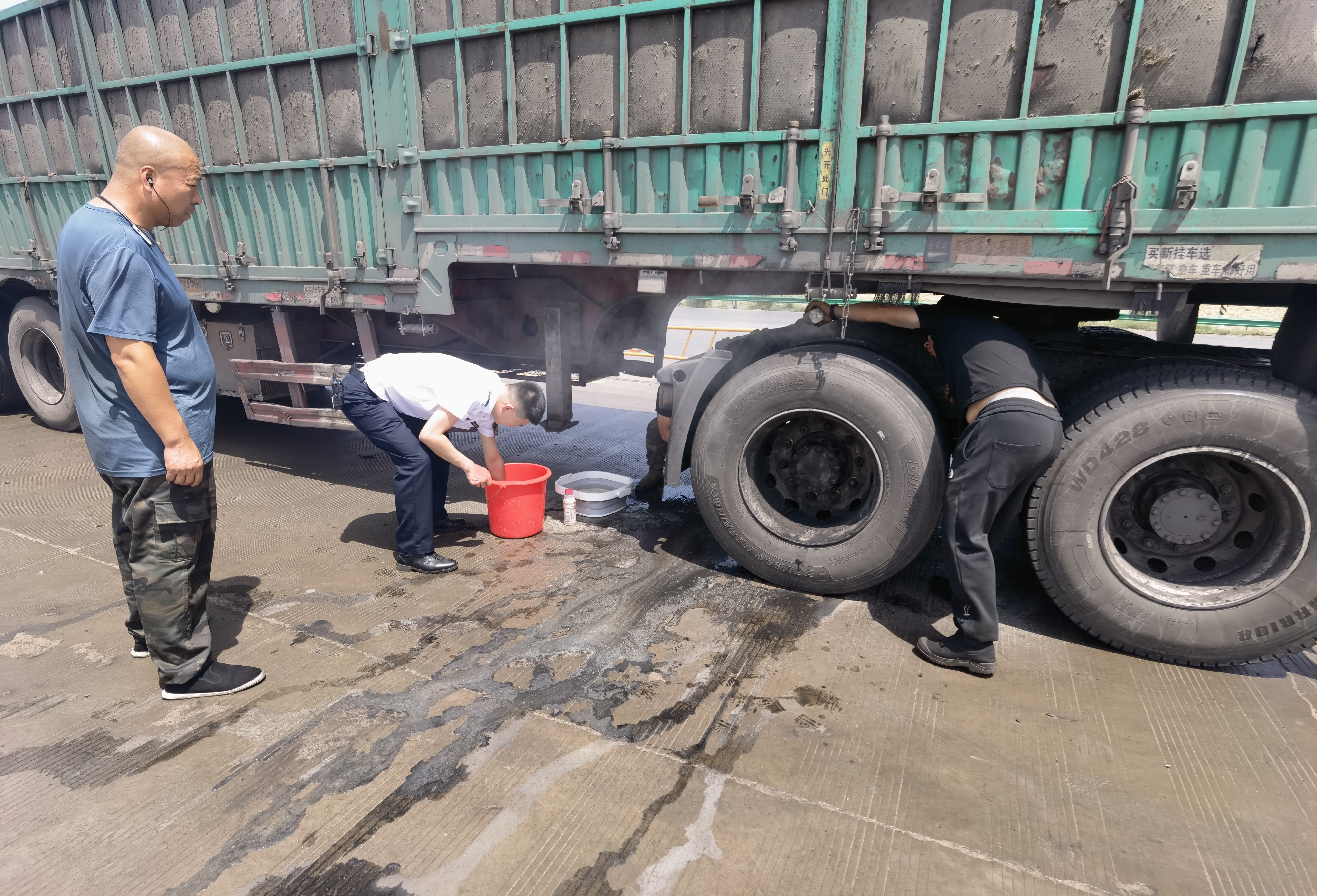 女人与公狍交酡女免费