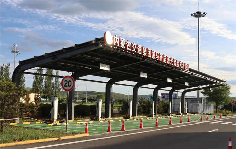 女人与公狍交酡女免费