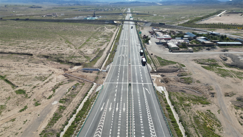 女人与公狍交酡女免费