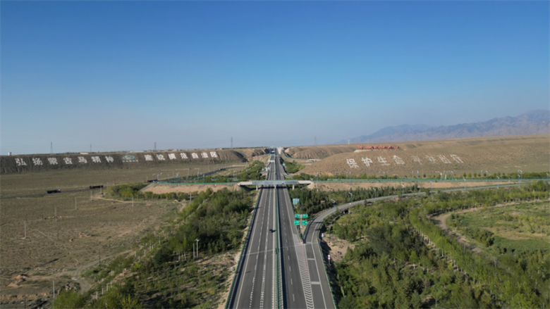 女人与公狍交酡女免费