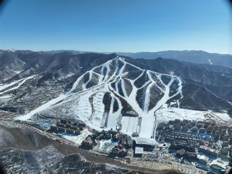 女人与公狍交酡女免费