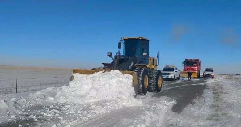 女人与公狍交酡女免费