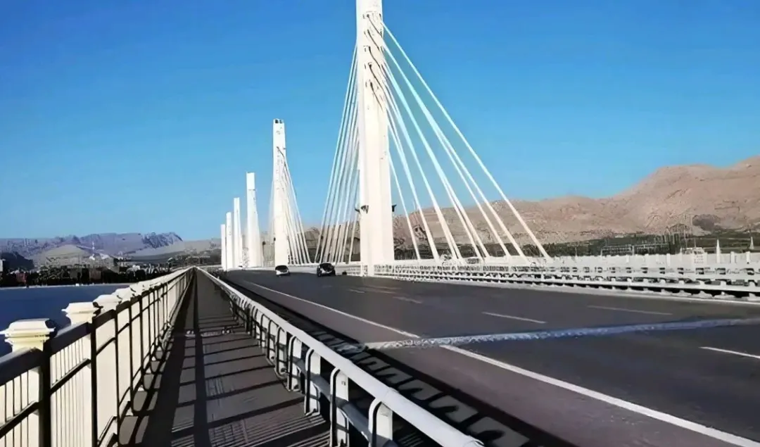 女人与公狍交酡女免费