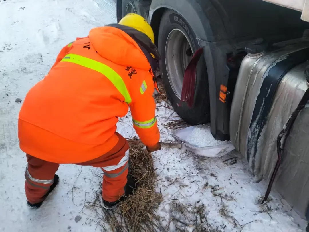 女人与公狍交酡女免费