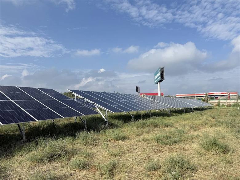 女人与公狍交酡女免费