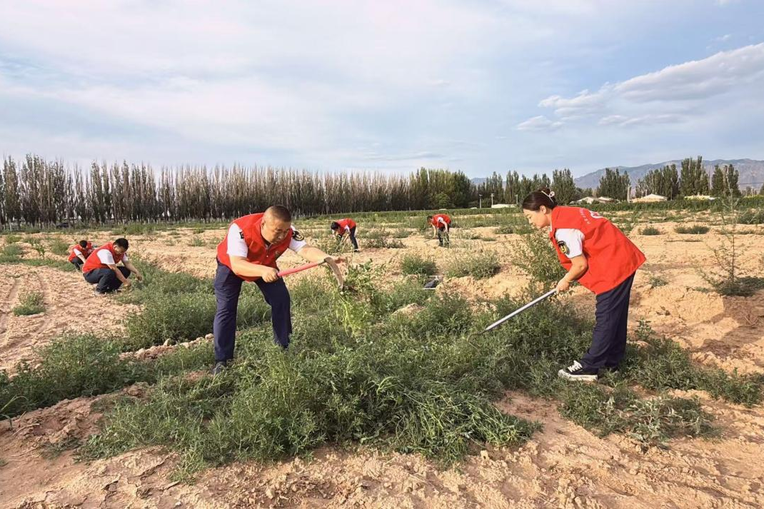 女人与公狍交酡女免费