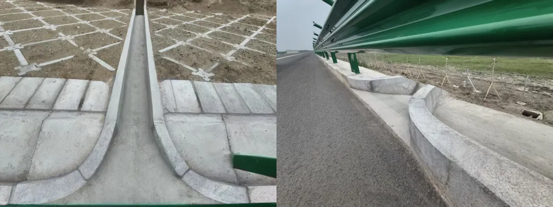 女人与公狍交酡女免费