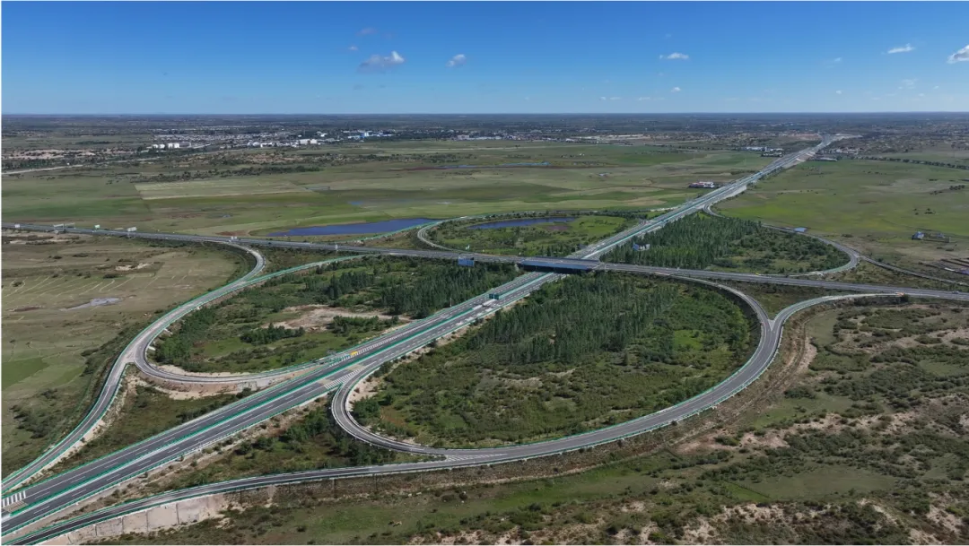 女人与公狍交酡女免费