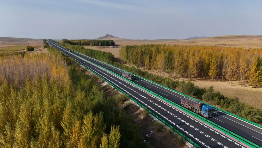 女人与公狍交酡女免费